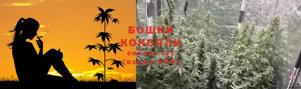 мяу мяу кристалл Осинники