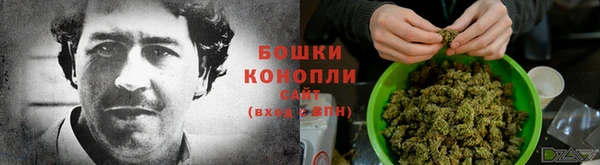 мяу мяу кристалл Осинники