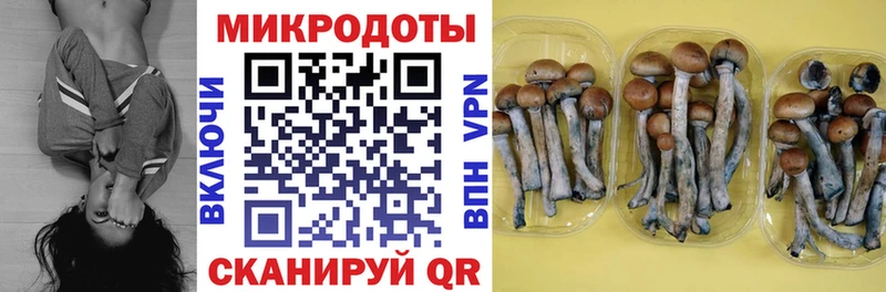 Галлюциногенные грибы мухоморы  маркетплейс состав  Сольцы  где продают наркотики 